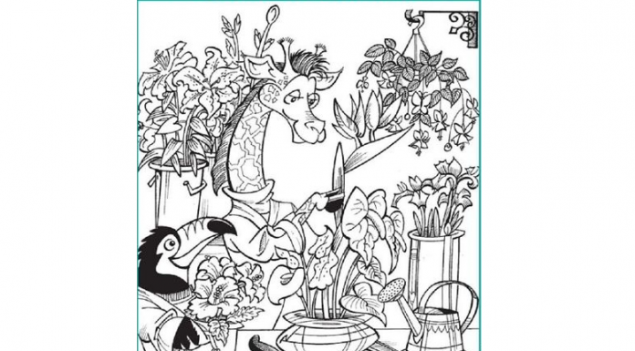 Encontre os intrusos em menos de 50 segundos. Poucos conseguem!