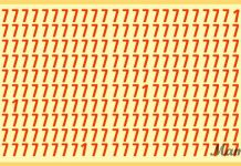 Pode demorar um pouco para encontrar a quantidade de 1s escondida entre os 7s.