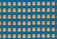 Você é observador? Você pode ver o macaco diferente nesta foto?