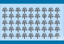 Desafio visual: Encontre a árvore diferente!👌