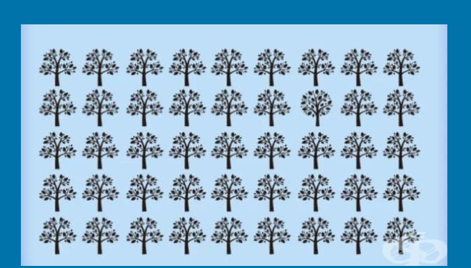 Desafio visual: Encontre a árvore diferente!👌