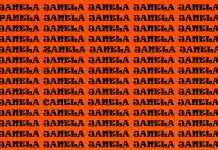 Quebra-cabeça visual: Tente encontrar três palavras diferentes de ‘janela’.