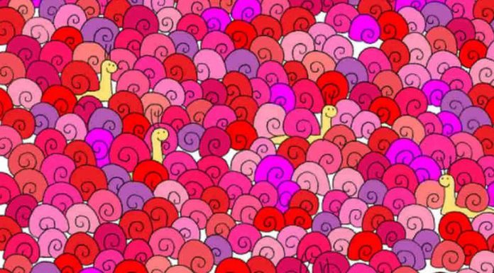 Muitos usuários não conseguem encontrar o coração escondido na imagem.