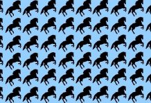 Descubra os cavalos diferentes: desafio que ninguém consegue resolver em menos de 15 segundos