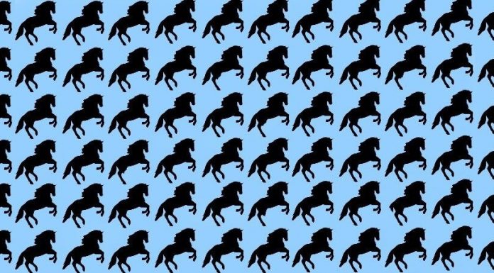 Descubra os cavalos diferentes: desafio que ninguém consegue resolver em menos de 15 segundos