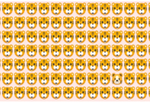 Encontre o “Infiltrado” se você é um bom observador!