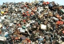 Você vê o gato que anda no lixo? O desafio viral que só foi resolvido por 11% dos usuários.