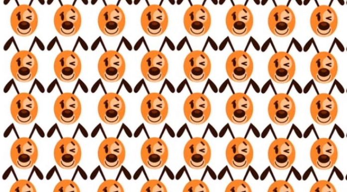 O desafio de outro nível: você consegue ver o emoji do cão diferente dos demais?