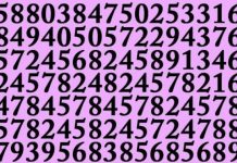 Quão bom é o seu poder de percepção? Quão rápido você consegue encontrar o número 25 nesta foto?