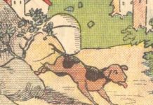 Onde está o dono do cachorro?: O desafio visual que apenas 30% conseguem resolver