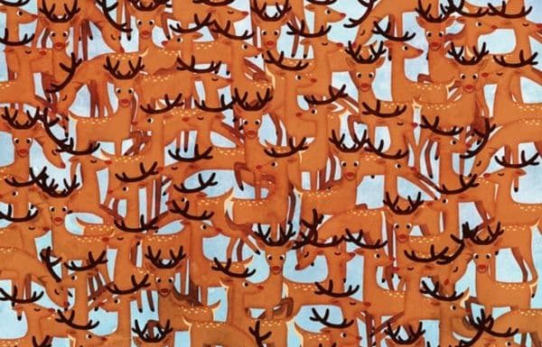 Você consegue encontrar um veado diferente de todos os outros?