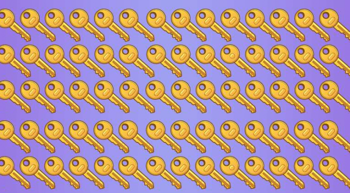 Há algo escondido nesta foto! Quão rápido você pode encontrar a chave diferente?