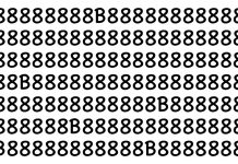 Olhe para uma imagem cheia de 8’s, sua tarefa é descobrir quantos B’s estão escondidos na imagem.