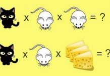 Este card numérico pode ser muito difícil. Olhe a figura e os números e tente responder corretamente. Você consegue?