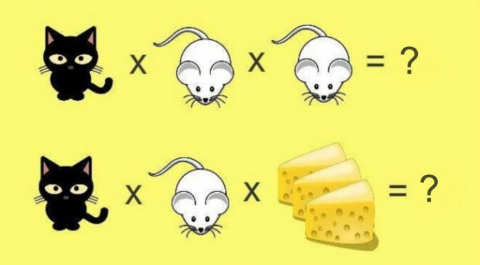 Este card numérico pode ser muito difícil. Olhe a figura e os números e tente responder corretamente. Você consegue?