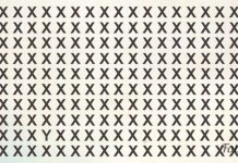 Somente os olhos mais atentos podem identificar o estranho em menos de 20 segundos