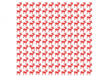 Encontrar a rena que olha para o outro lado: o desafio viral que desafiará sua acuidade visual