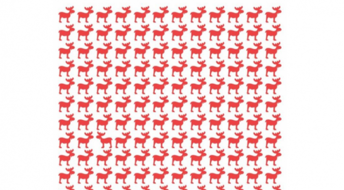 Encontrar a rena que olha para o outro lado: o desafio viral que desafiará sua acuidade visual