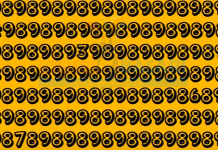 Desafio de hoje: Você consegue localizar os números que não tem parceiros?