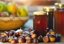 Mel de castanha: benefícios, para que serve, como é consumido e efeitos milagrosos que você precisa saber!