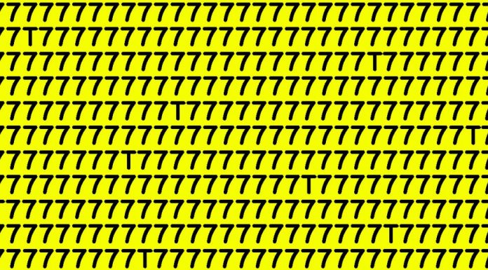 Apenas algumas pessoas conseguem: quantos T’s você consegue encontrar na foto?