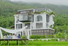 Sete amigas chinesas compraram juntas uma mansão, onde poderão envelhecer juntas.