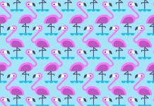 Desafio viral: você consegue encontrar flamingos com uma perna?