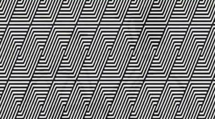 Há algo escondido nesta foto? Você pode ver o que é?