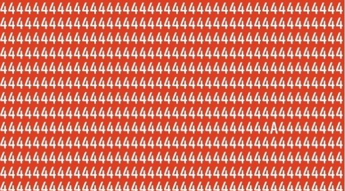 Apenas algumas pessoas conseguem: quantos A’s você consegue encontrar na foto? 😎