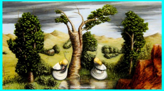 Teste: Descubra o que está por trás do que você vê primeiro