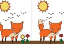 Que diferença entre as imagens você notou primeiro?