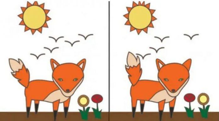 Que diferença entre as imagens você notou primeiro?