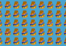 Desafio visual: encontre os 4 vasos diferentes