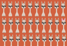 Desafio visual: encontre as 5 lhamas diferentes