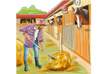 Pense nisso como um enigma: Quão rápido você consegue encontrar cinco erros?!