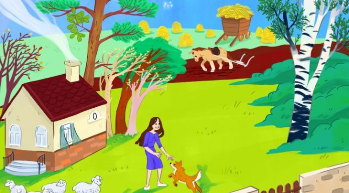 Este teste de imagens colocará à prova seu nível de lógica e atenção: encontre todas as imprecisões da imagem.