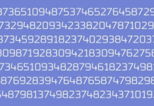 Somente aqueles com a visão mais aguçada terão sucesso! Você pode encontrar o número 24?
