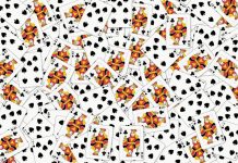 Teste: coloque suas habilidades de observação à prova com estes 15 desafios visuais de cartas de jogar.