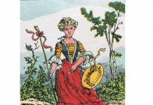 Desafio viral | Você pode encontrar o amigo escondido? (apenas 5% conseguem)