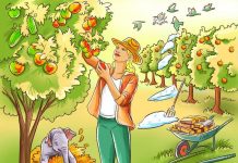 O enigma deixa muitos intrigados -O que está “estranho” nessa foto?