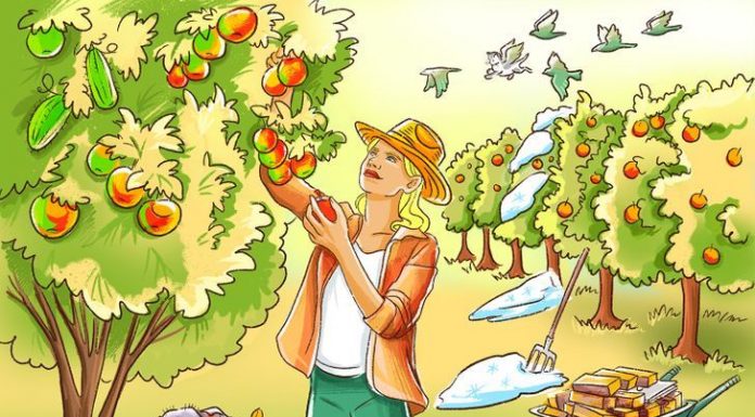 O enigma deixa muitos intrigados -O que está “estranho” nessa foto?