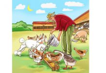 Uma cena da fazenda! Quantos “erros” você vê?