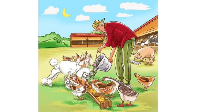 Uma cena da fazenda! Quantos “erros” você vê?