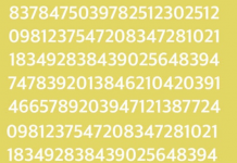 Somente pessoas com QI entre 110 e 125 podem encontrar o número “256” mais de uma vez em 10 segundos! E você?