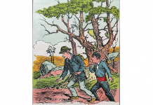 Ginástica cerebral: encontre as sete faces!