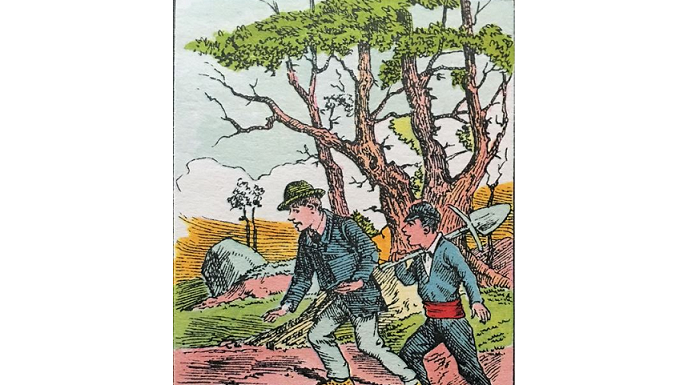 Ginástica cerebral: encontre as sete faces!