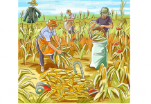 Os trabalhadores trabalham duro, mas infelizmente há quatro erros. Você consegue encontrar em menos de 30 segundos?