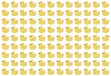 TESTE DE OLHO: Tente encontrar o pato “diferenciado” na foto!