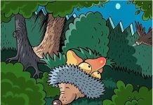 Além do ouriço e do pássaro que voltaram para casa cheio de fardos, você viu mais alguém?