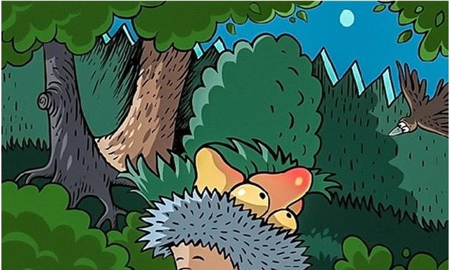 Além do ouriço e do pássaro que voltaram para casa cheio de fardos, você viu mais alguém?